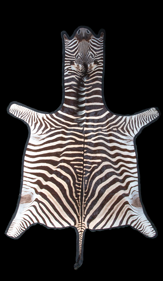 Zebra Rug, Extra Large