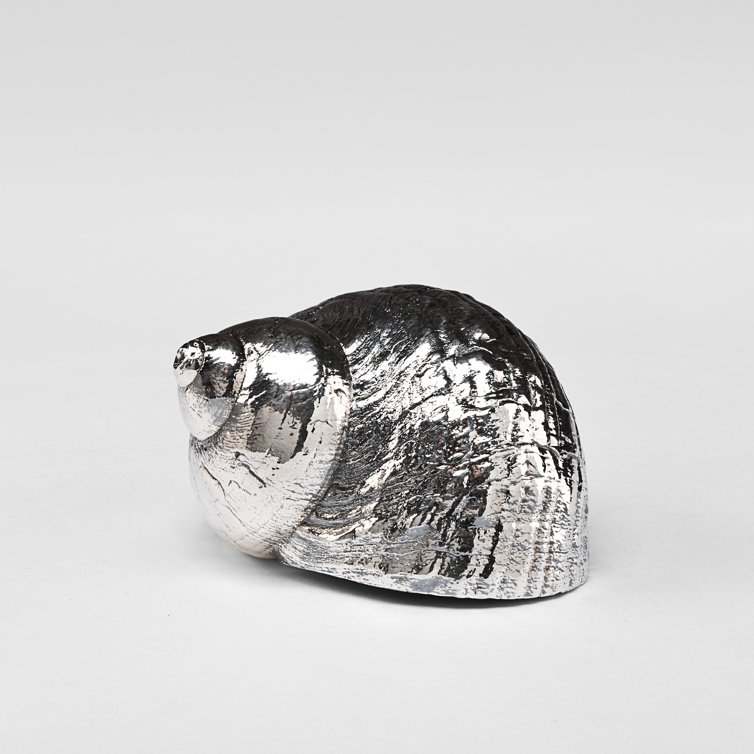 Silver Burgus Andreina Shell