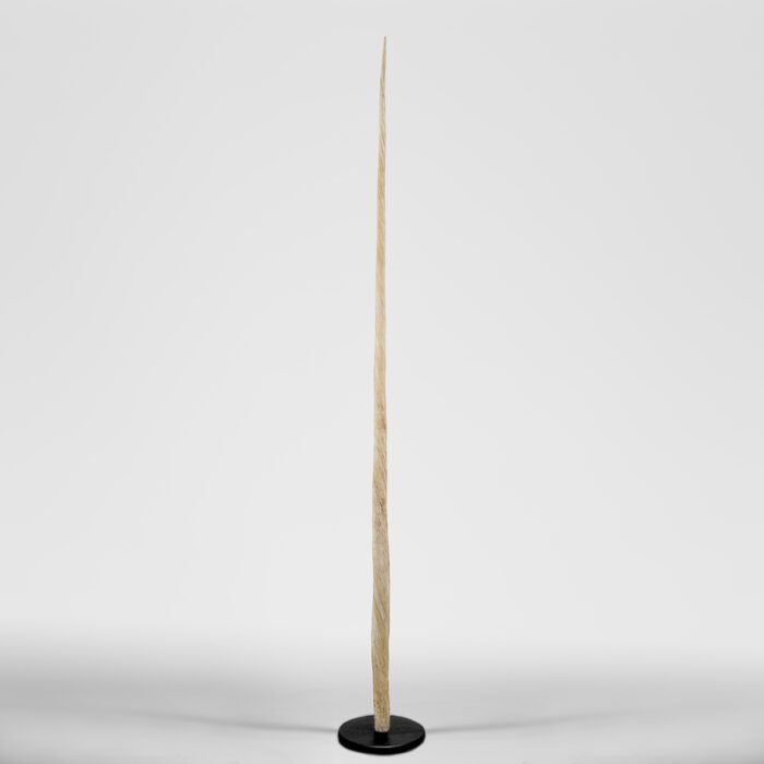 narwhal-tusk-replica-with-round-base