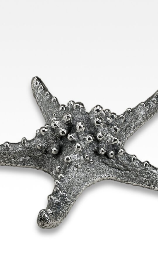 Silvered Starfish