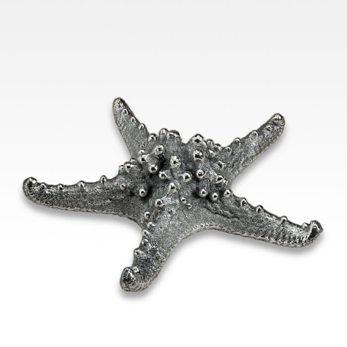 Silvered Starfish