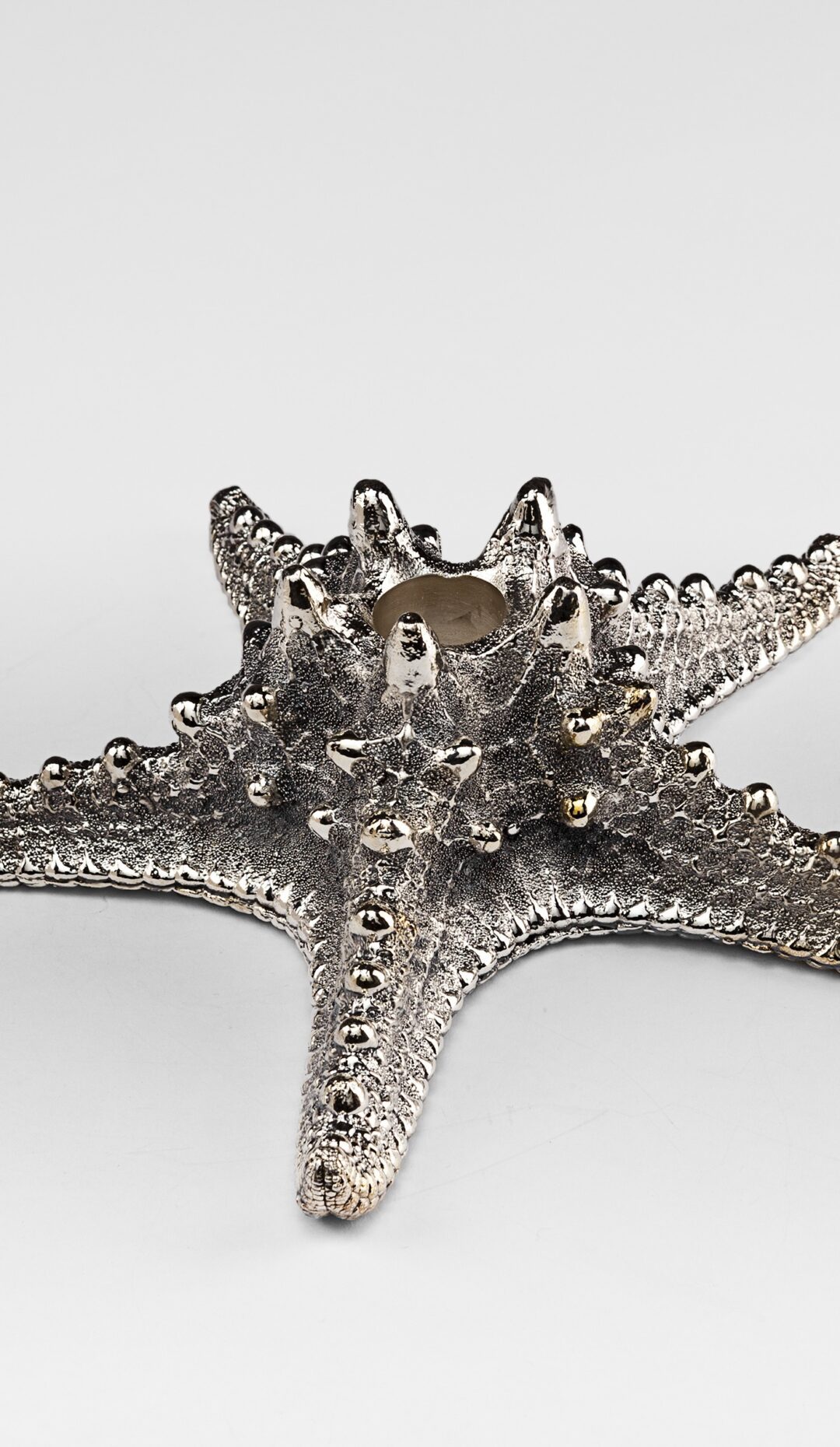 Silver Plated Star Fish