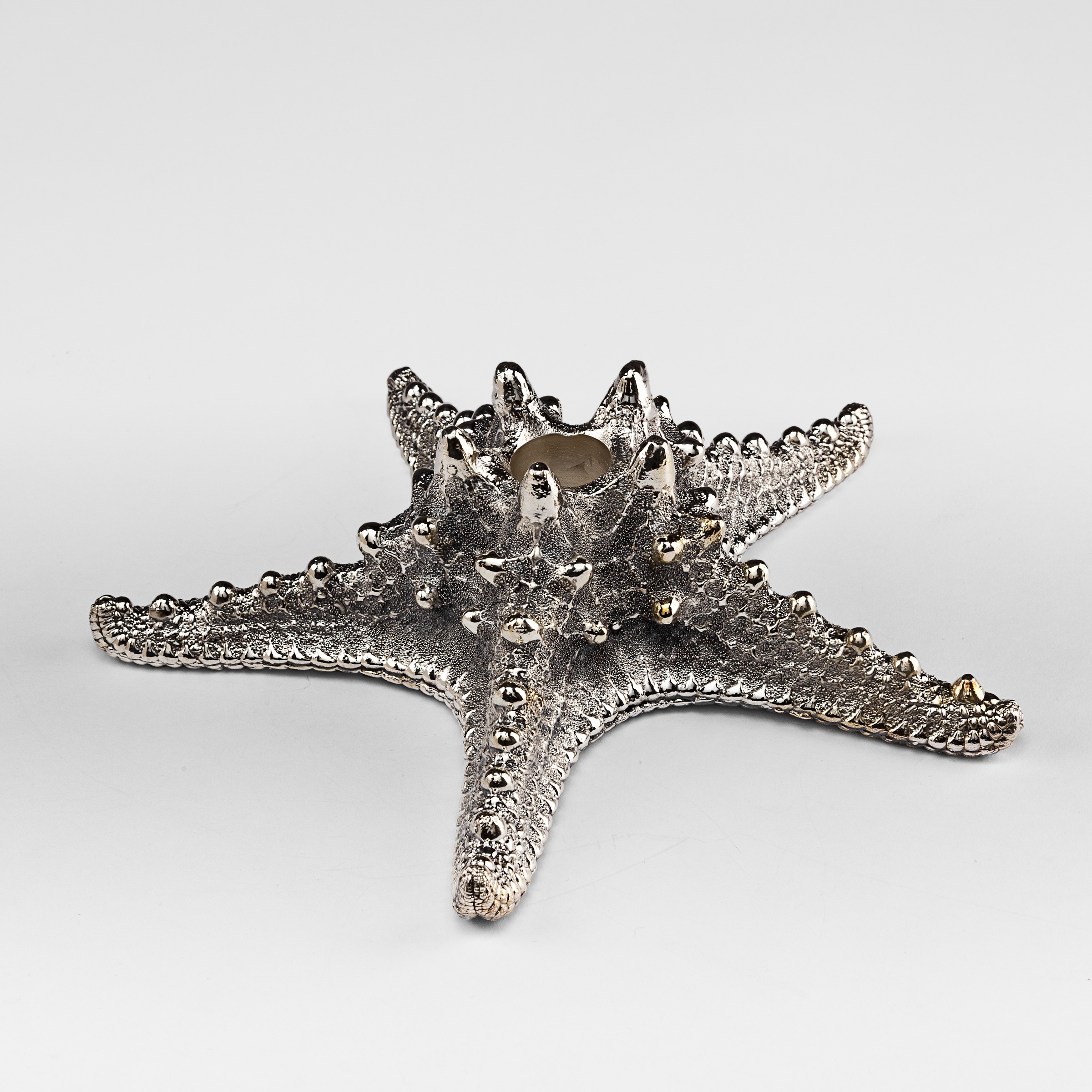 Silver Plated Star Fish