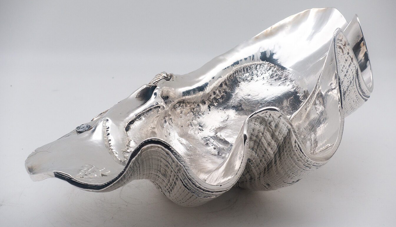 Silver Coated Tridacna