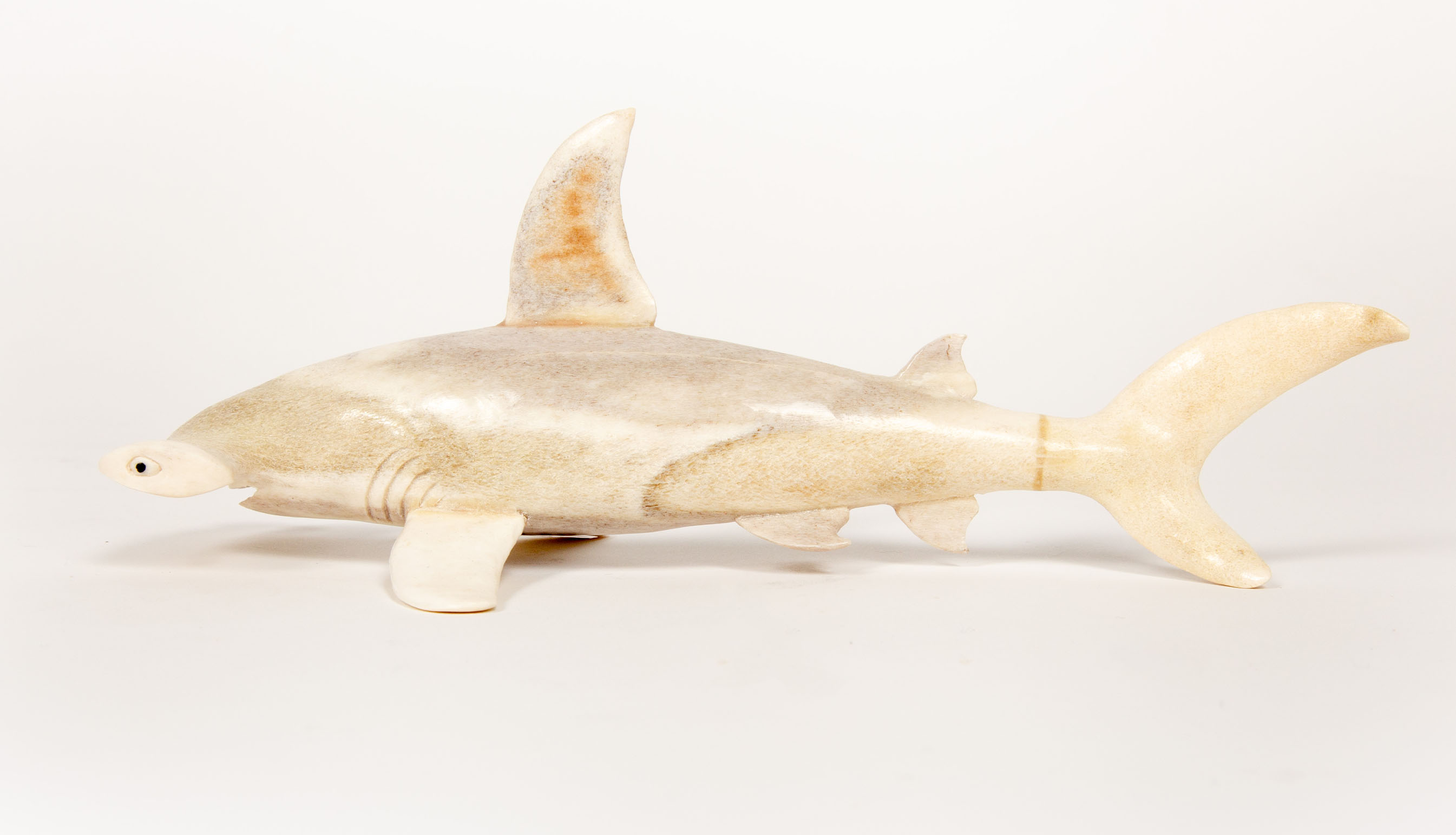 Hammerhead Shark Moose Antler Carving