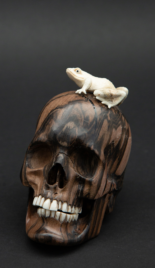 Skull with a carved antler frog