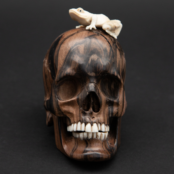 Wood skull with a carved moose antler frog