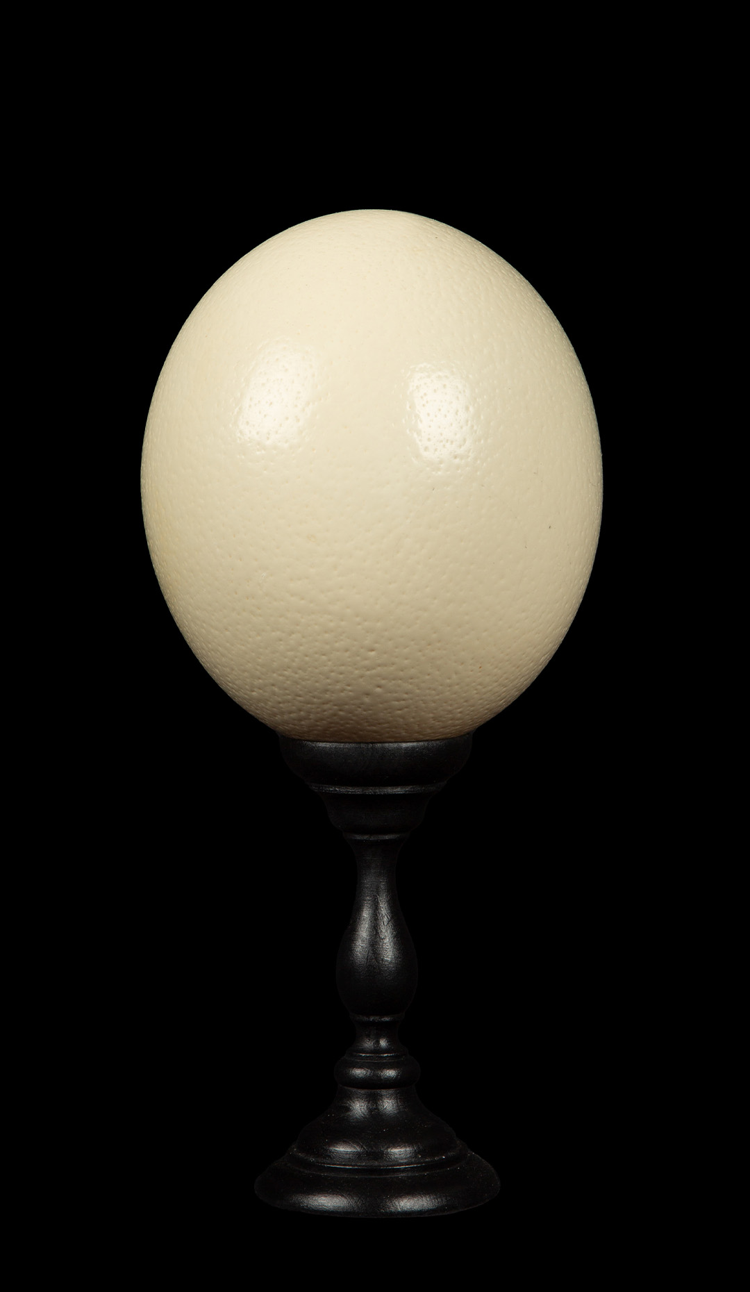 Mounted Ostrich Egg, Small, 10.5″ H