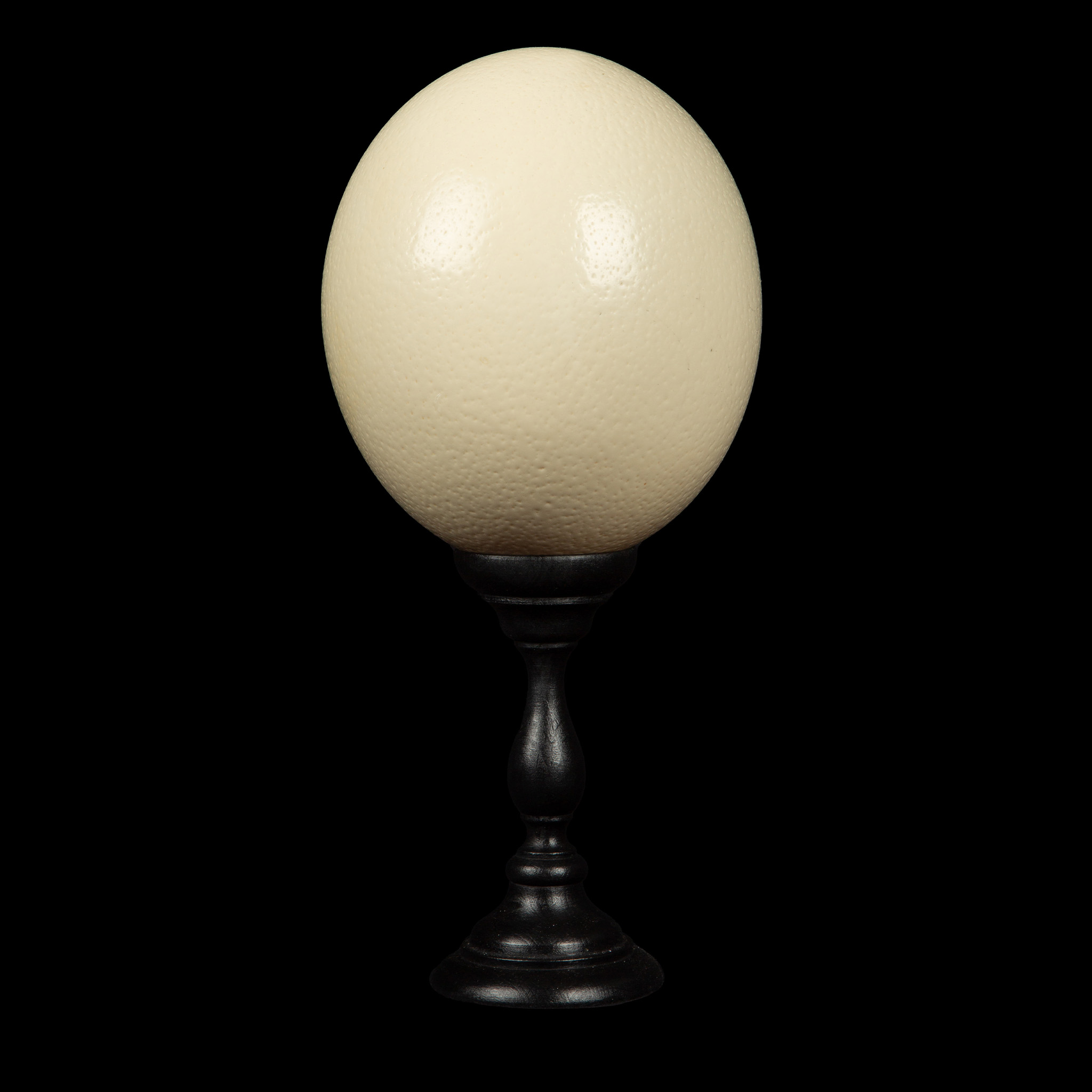 Mounted Ostrich Egg, Small, 10.5