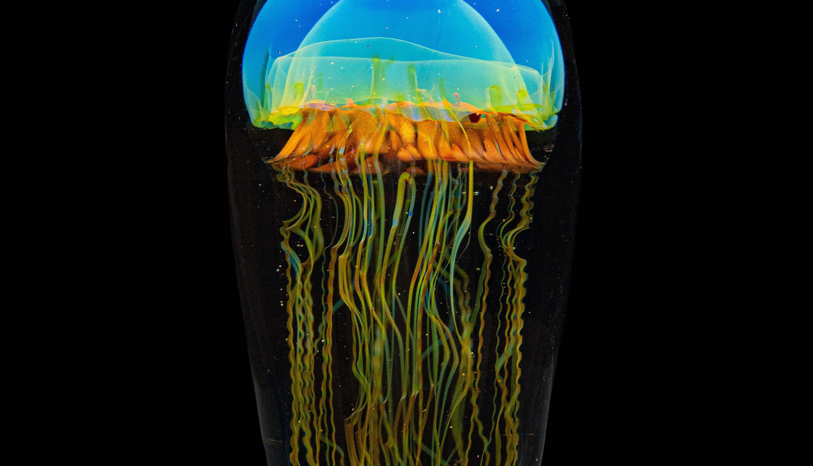 Glass Jelly Fish