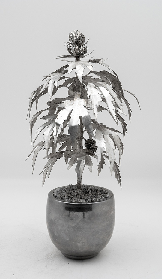 Luxury Leaf: The Silver Haze-Inspired Park Avenue Pot Plant