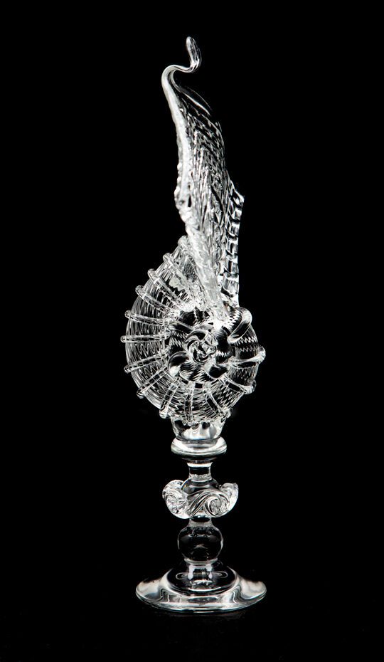Handblown glass nautilus sculpture, spectacular and impressive in its size