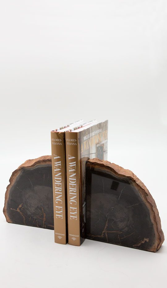 Brown Petrified Wood Bookends