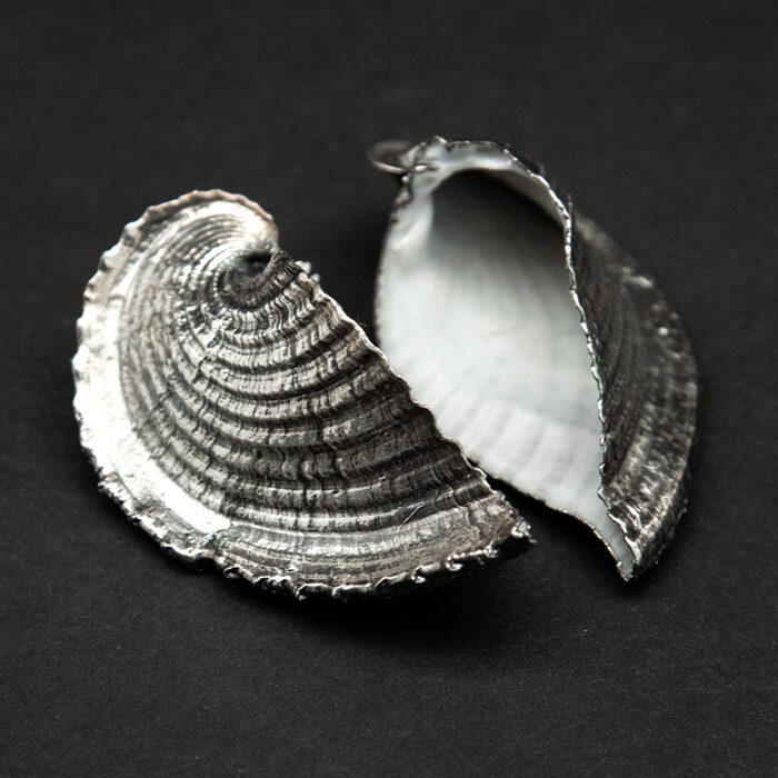 Silvered Heart Cockle