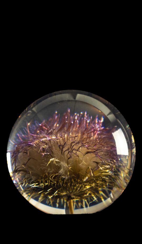 THISTLE PAPERWEIGHT