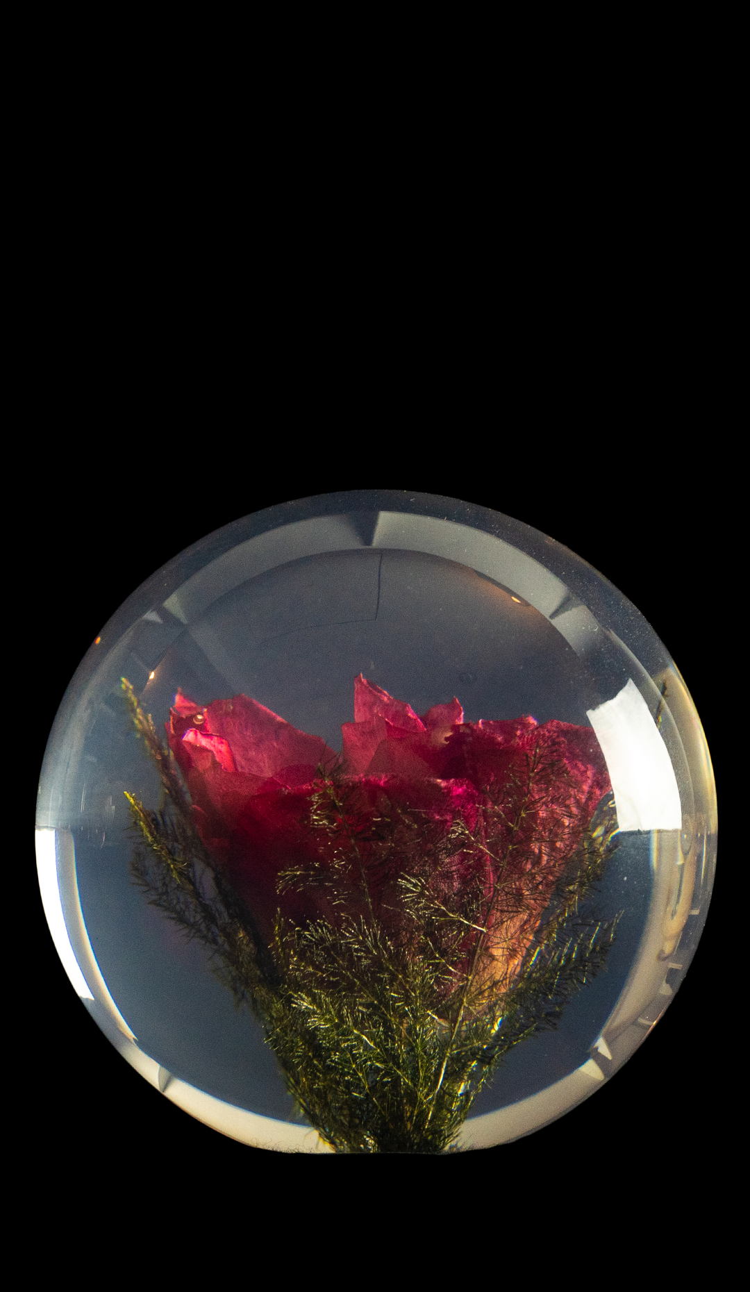 Paperweight, Red Rose