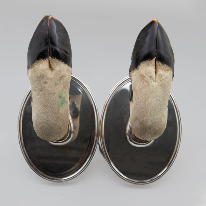 hooves on sterling oval wall mount