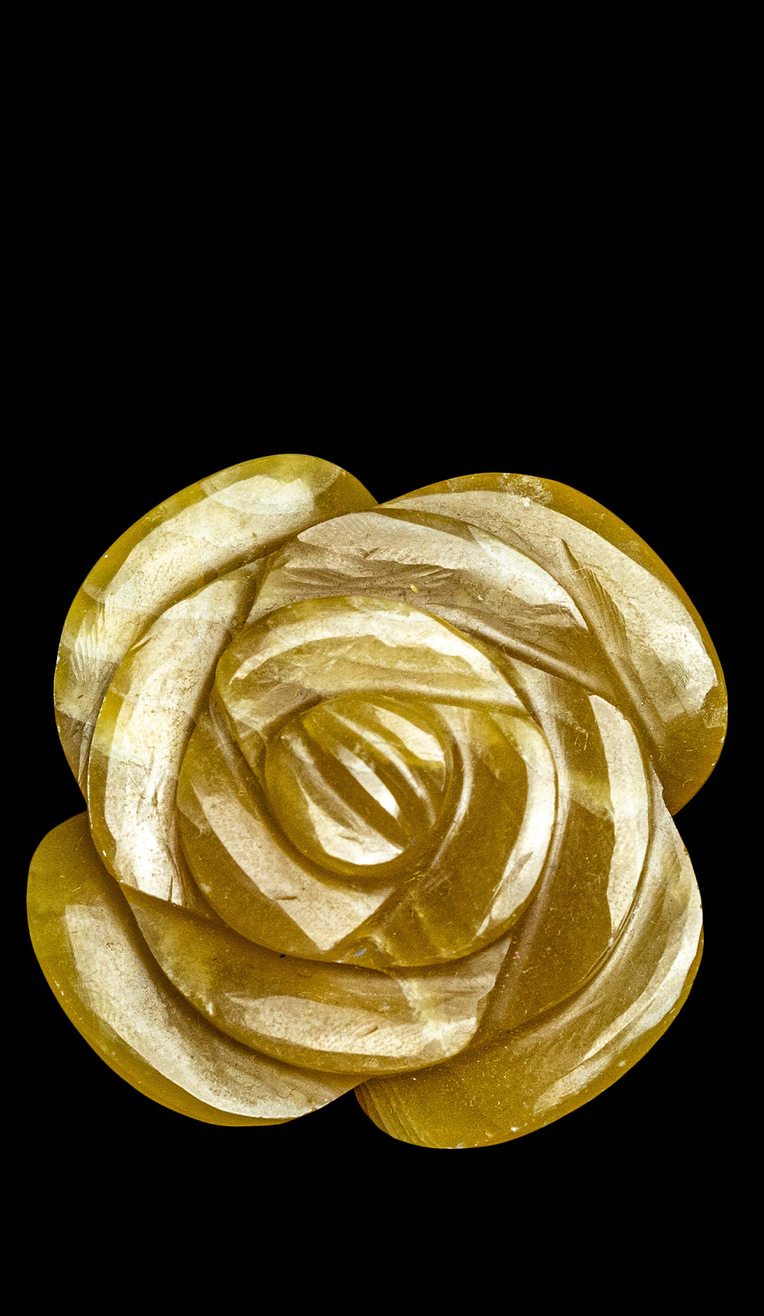 Caramel Calcite Camellia