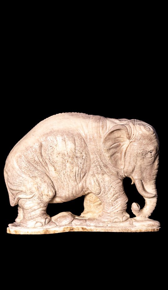 Moose Antler Carving of a Elephant
