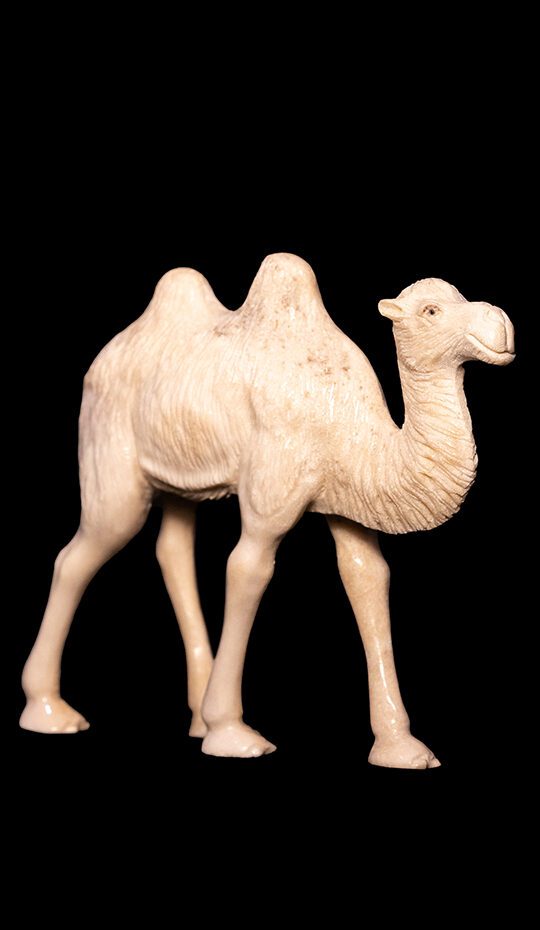 Moose Antler Carving of camel