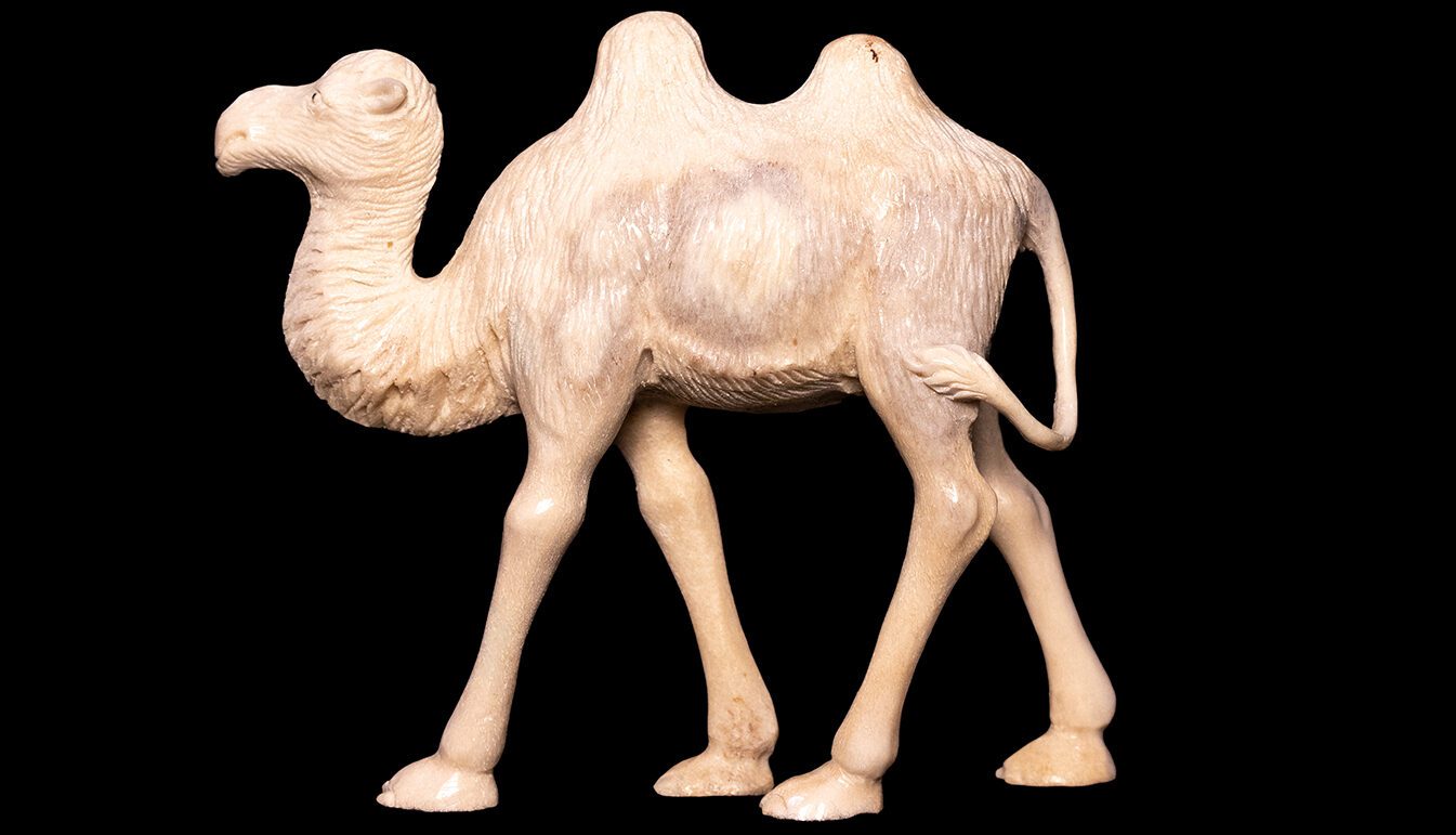 Moose Antler carving of Camel