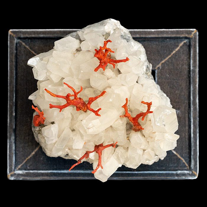Mounted Rock Crystal Creation with red coral and velvet base
