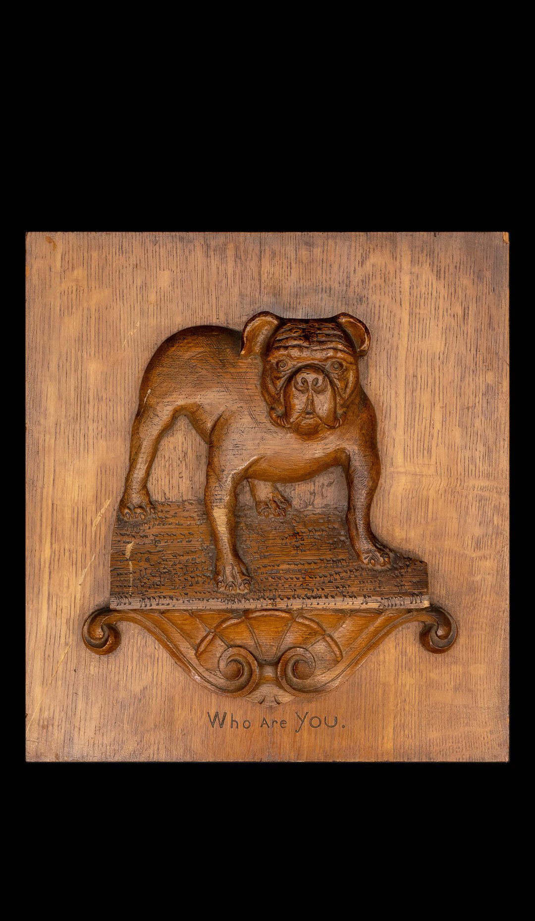 Oak Panel W/ Carved Bull Dog