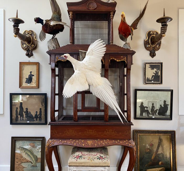 Interior of shop showing bird cage with mounted taxidermy animals