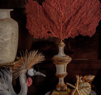 African Crown Crane sitting along with an Alabaster Vase and Orange Sea Fan Mounted on Antique Gilded Base