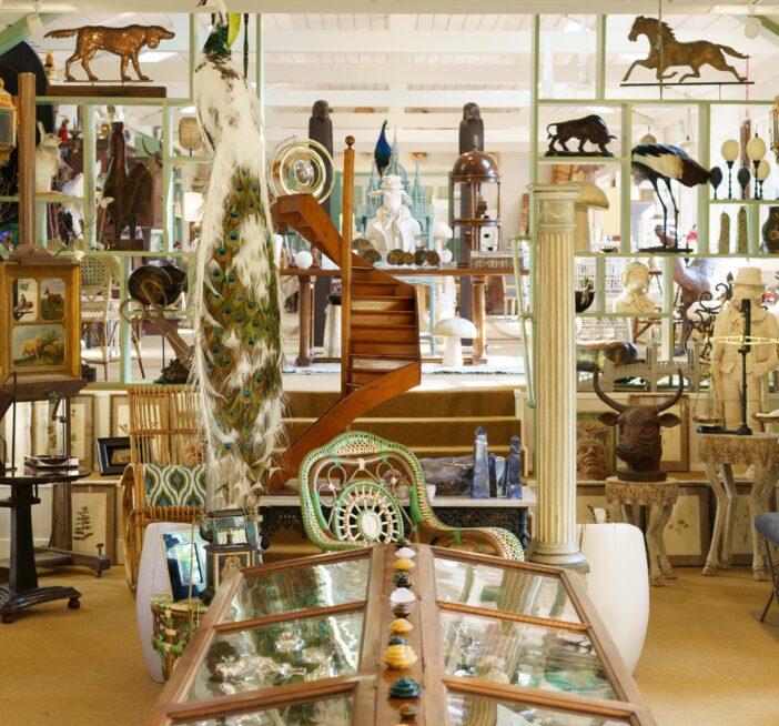Interior of the Millbrook shop with peacock.