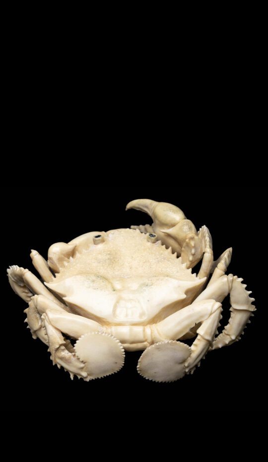 Carved Moose Antler Crab