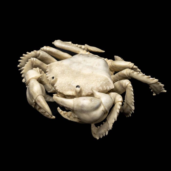 Moose Antler Carving of a Crab