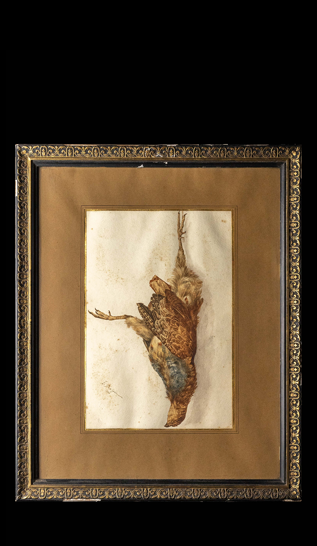 Gouache of a Deceased Bird by Frederic Masson