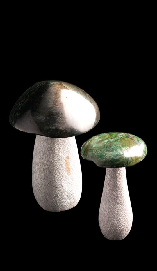 Carved Stone Mushrooms