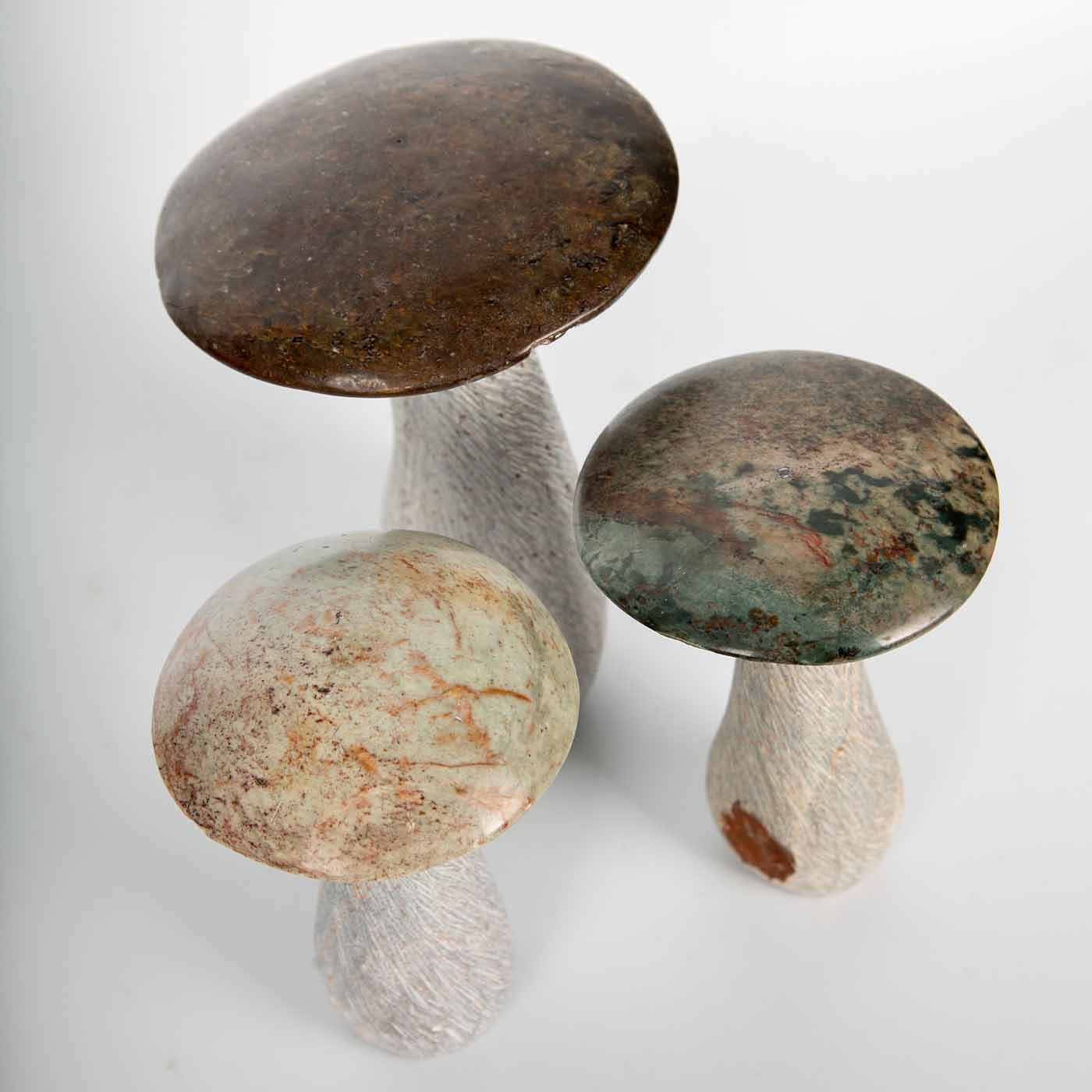 Carved Stone Mushrooms Trio