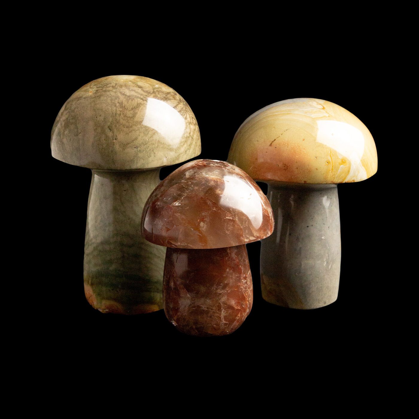 Mineral Mushrooms