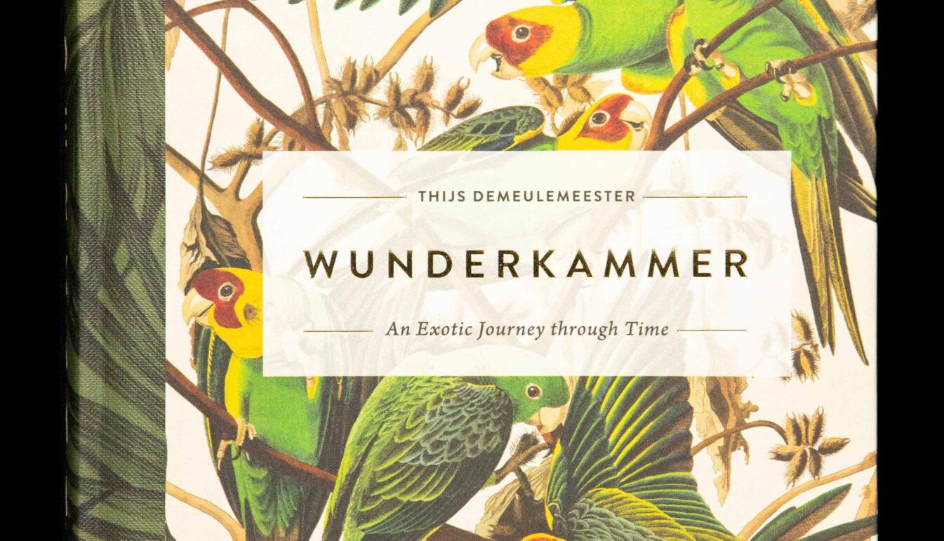 Wunderkammer: An exotic Journey through Time