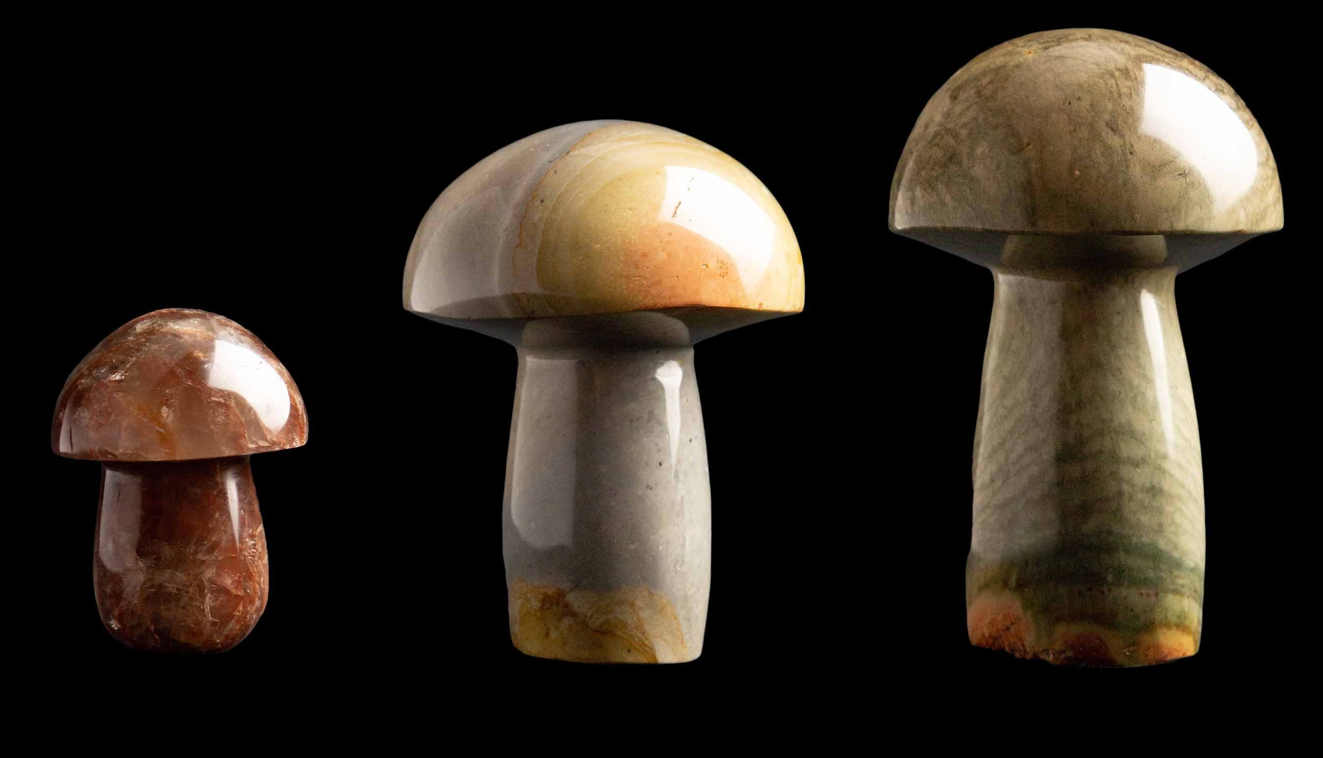 Mineral Mushrooms