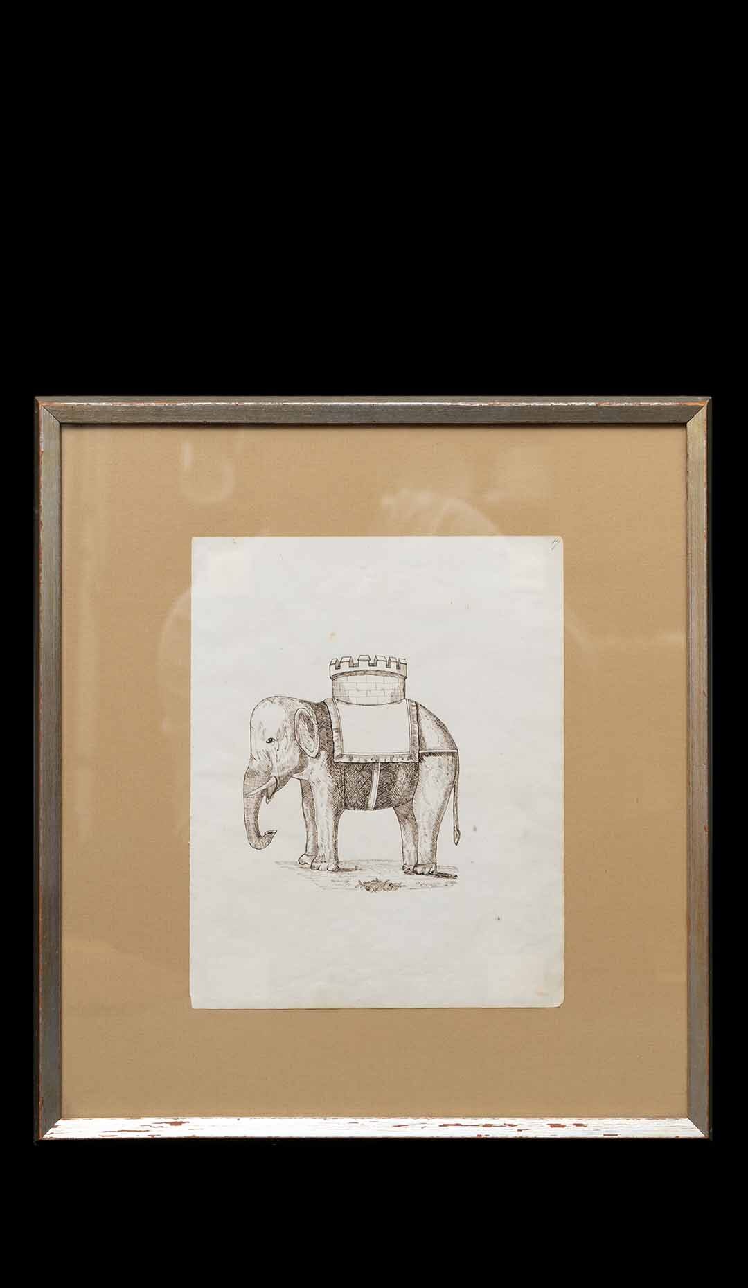 Drawing of Elephant