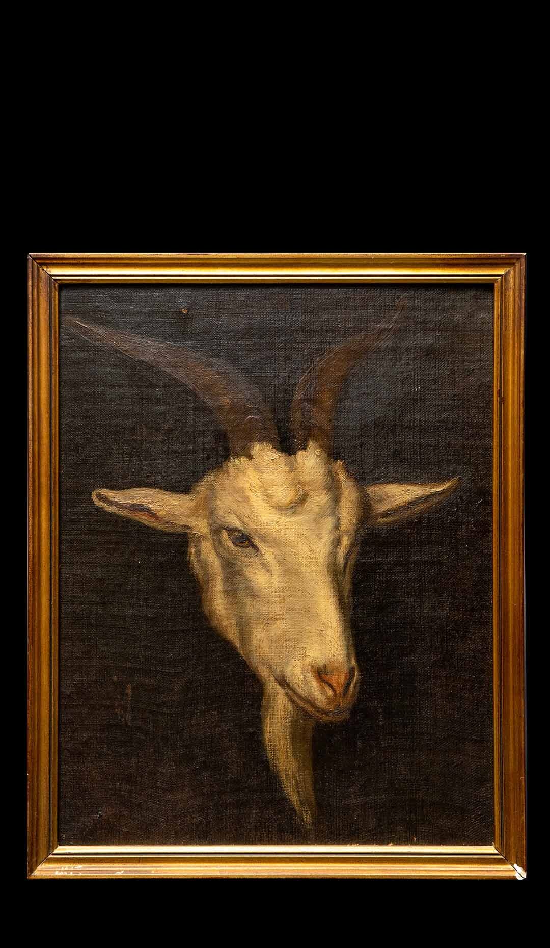 Oil Painting of a Goat