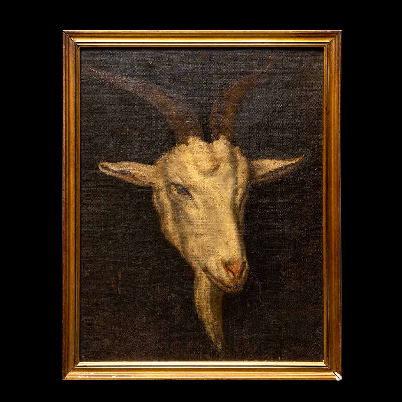 Oil Painting of a Goat