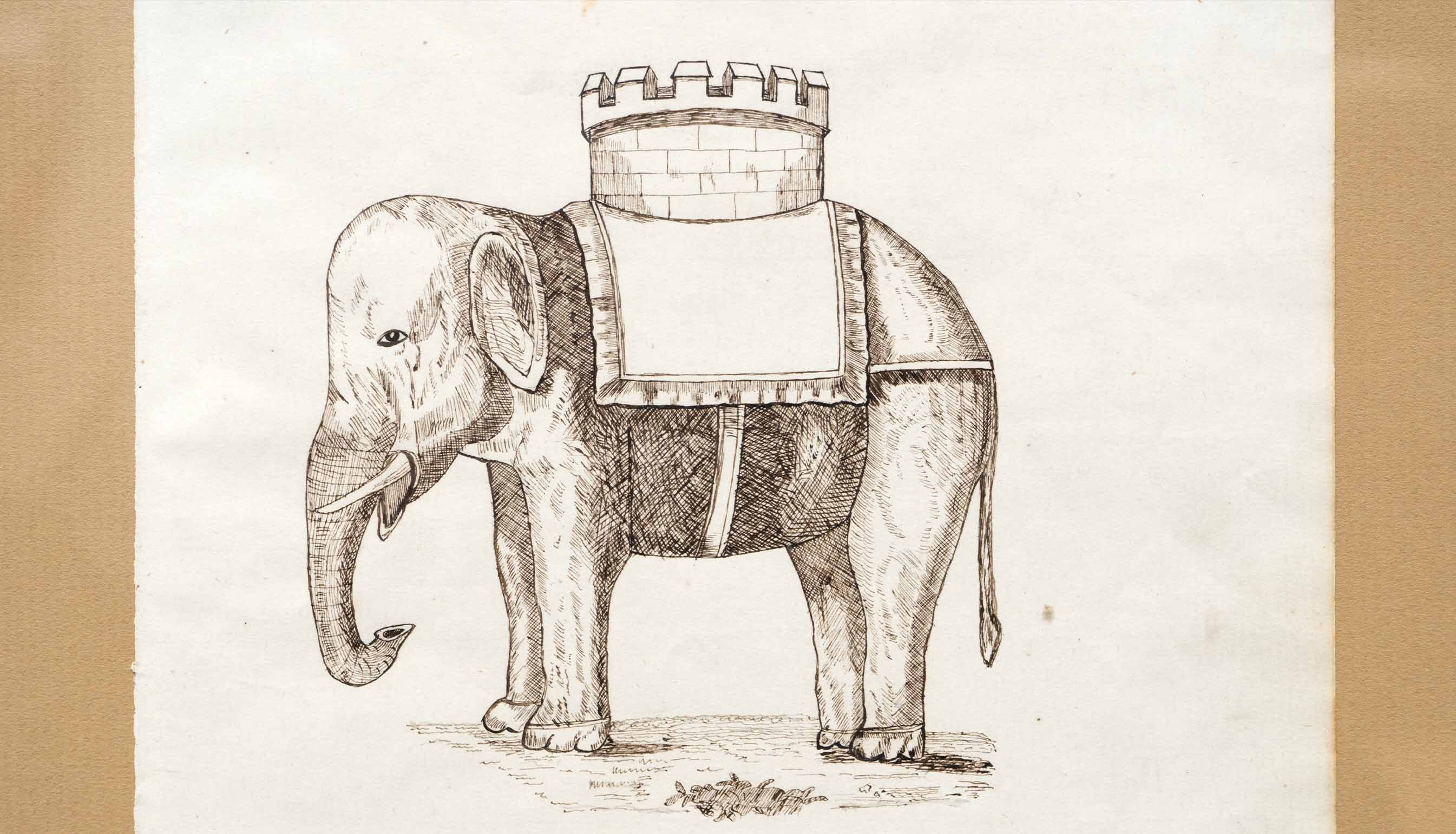 Drawing of Elephant