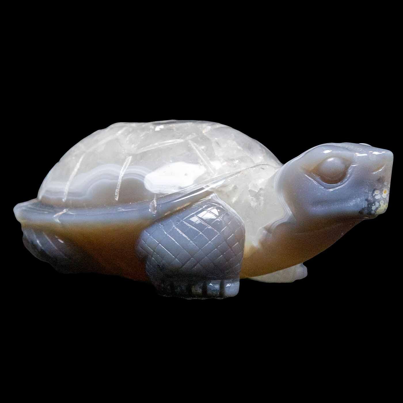 Carved Agate Turtle