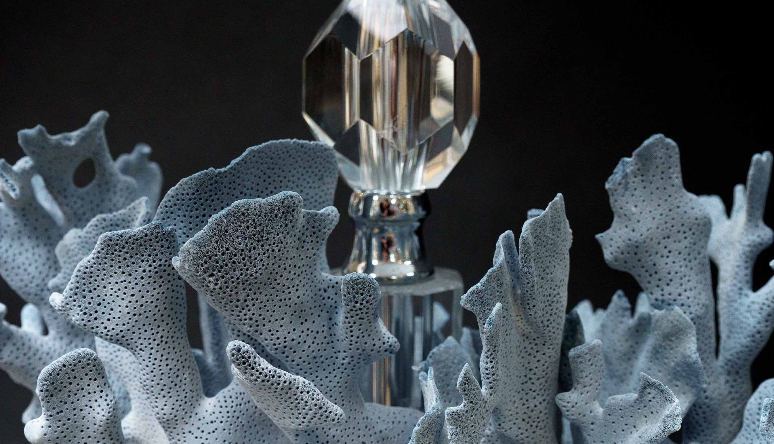 Blue Coral Creation Lamp