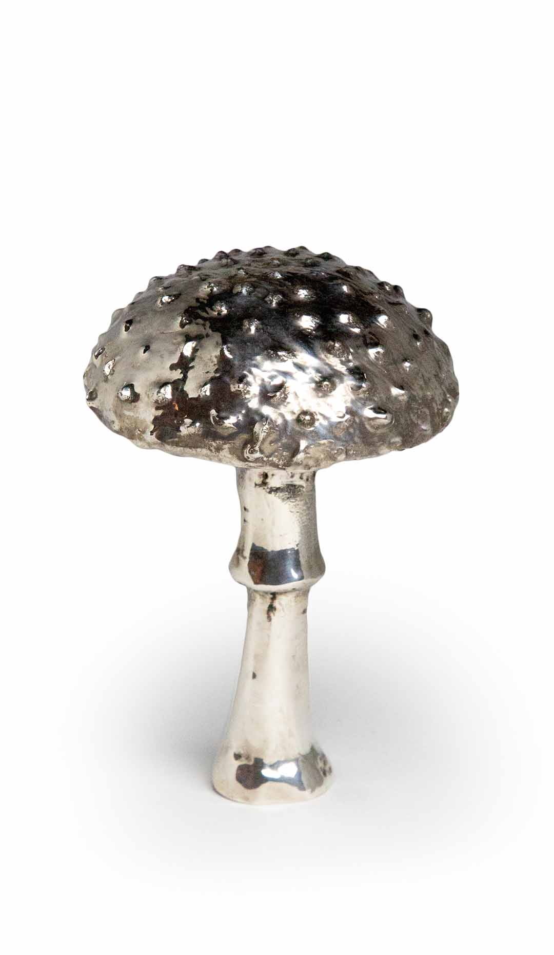 Silvered Amanita Mushroom