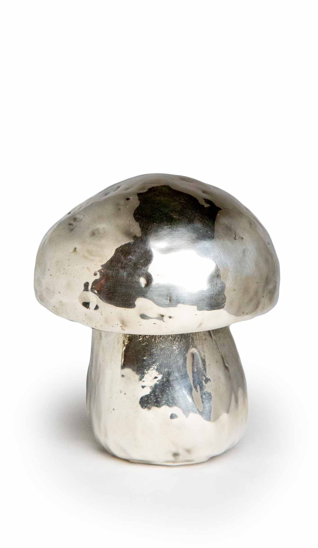 Silvered Porcini Mushroom