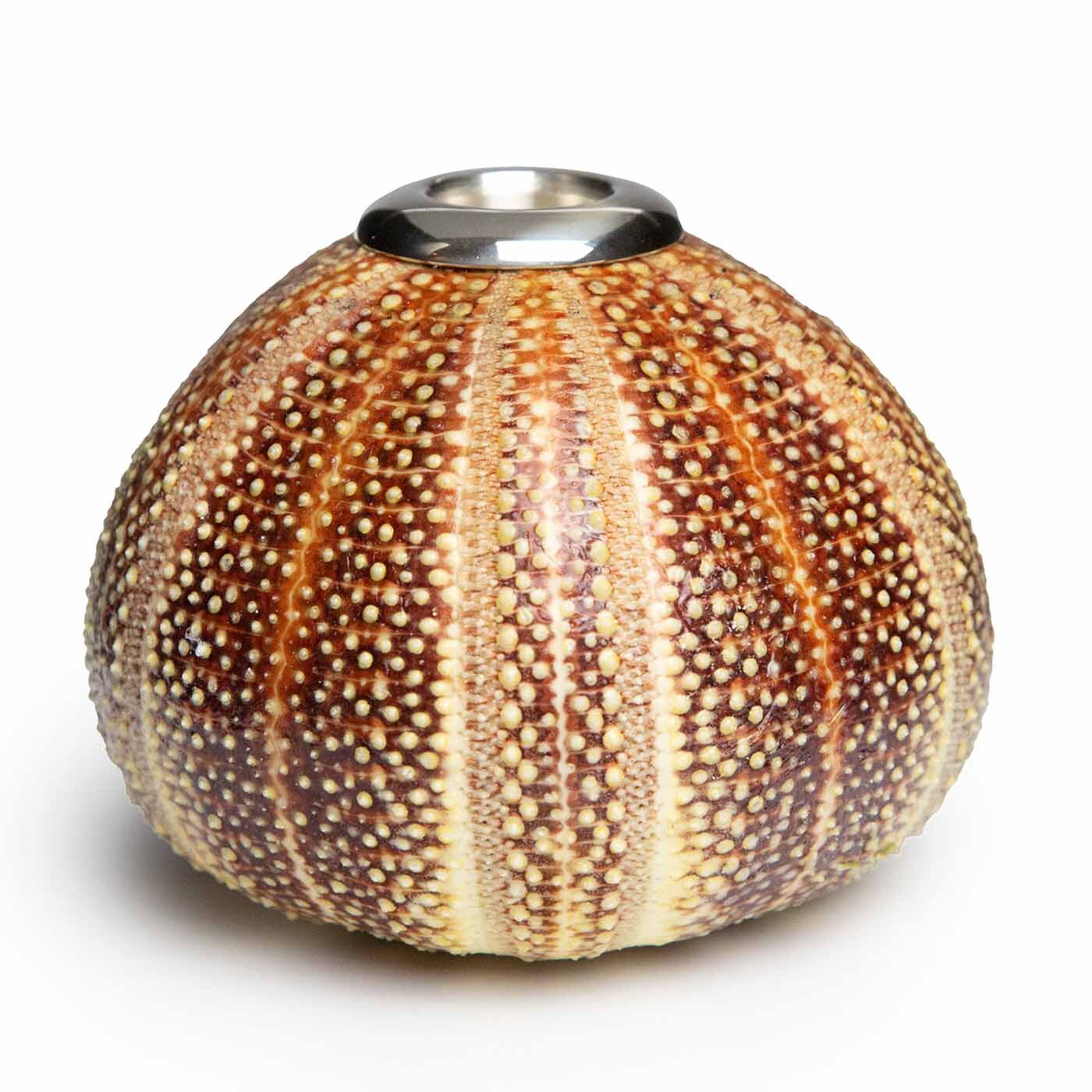 Urchin Candle Holder