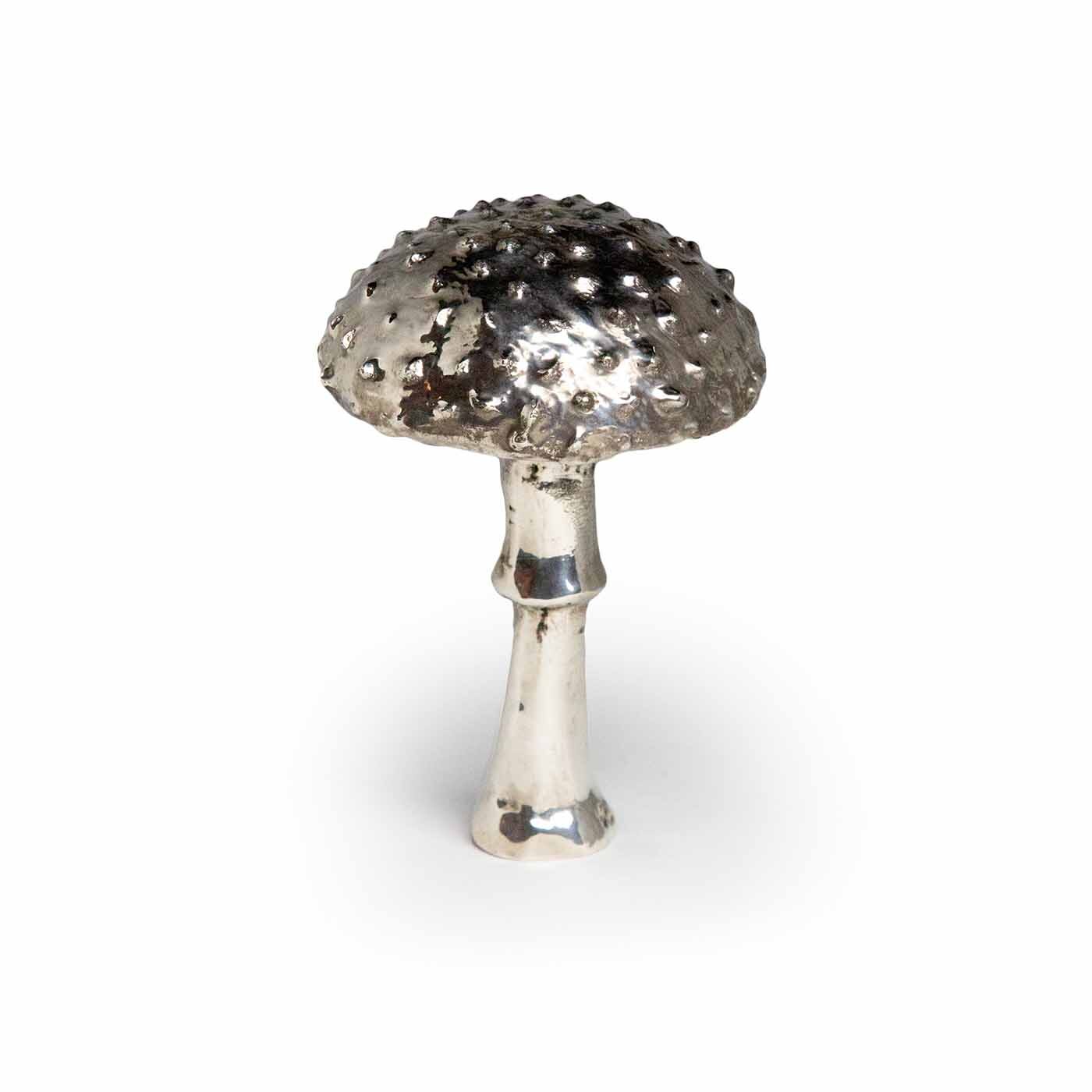 Silvered Amanita Mushroom