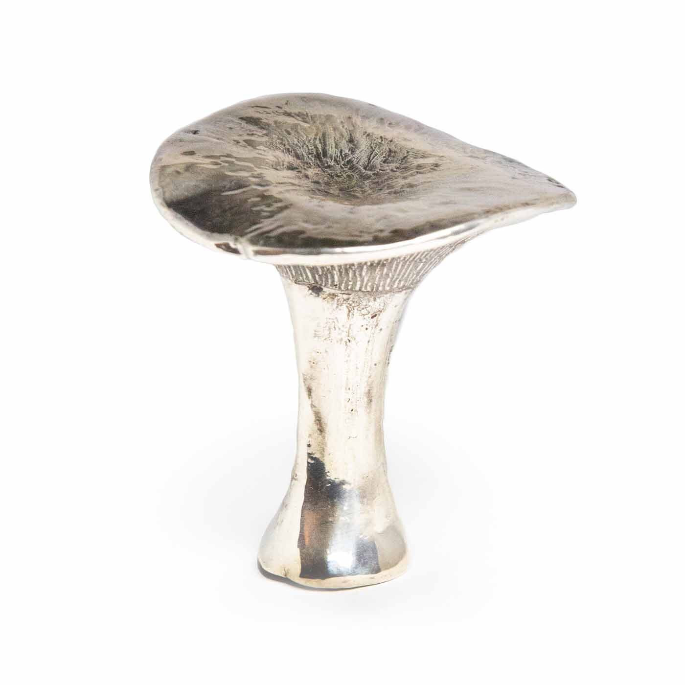 Silvered King Trumpet Mushroom