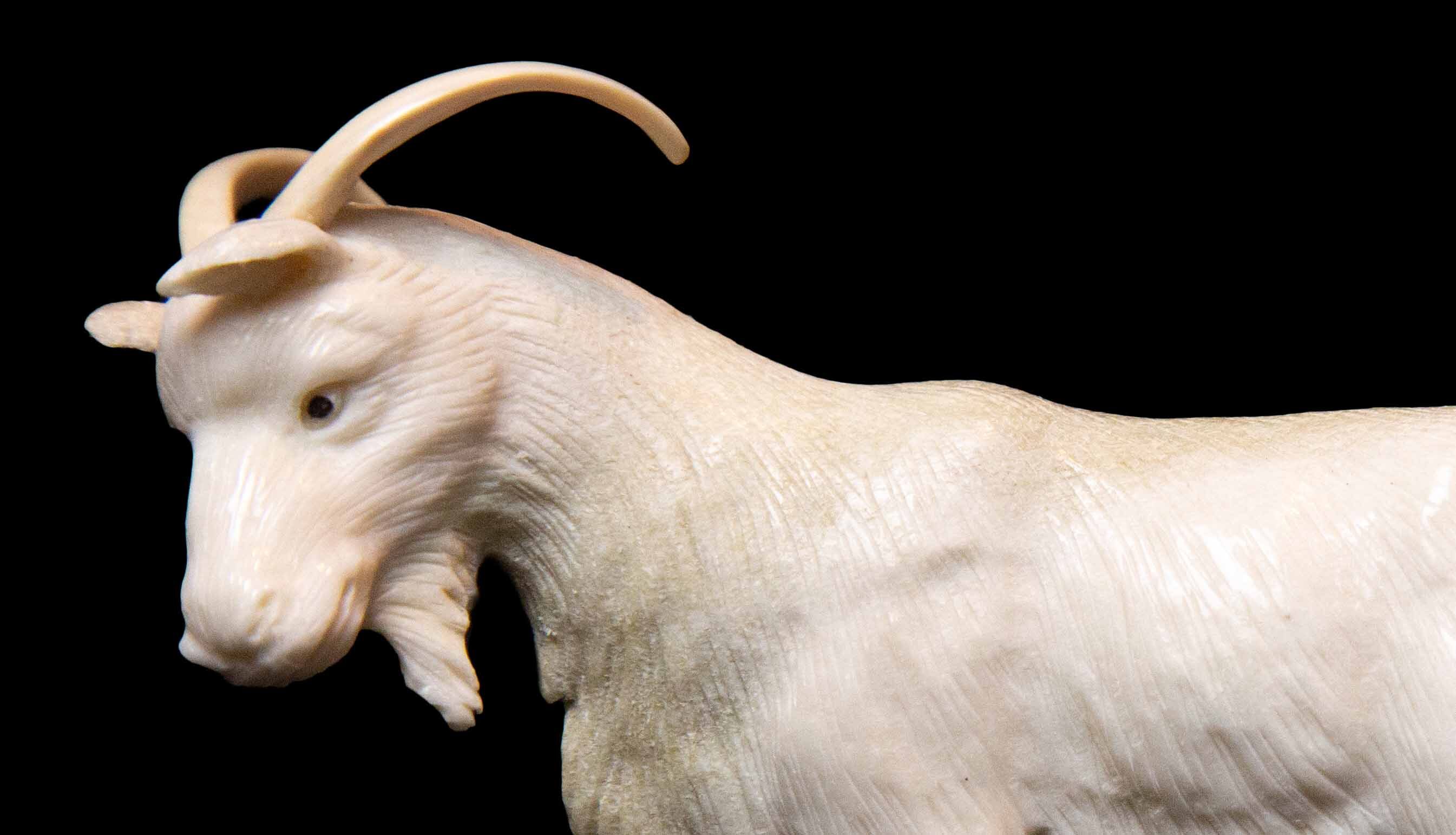Carved Moose Antler Goat